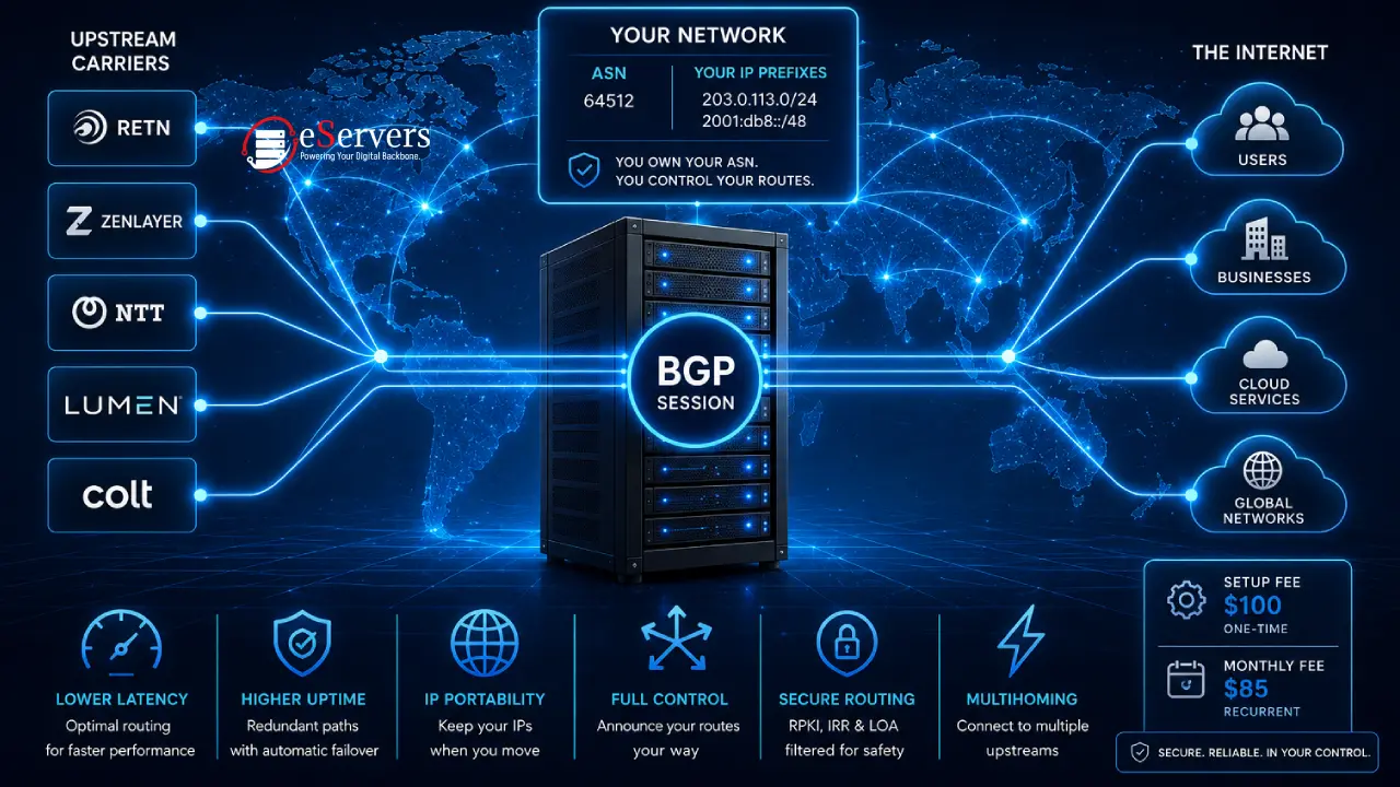 BGP Peering Explained: Why It Matters for Your Dedicated Server's Network Performance